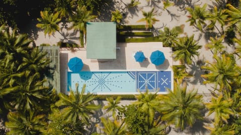 Garden view, Pool view, Swimming pool, sunbed
