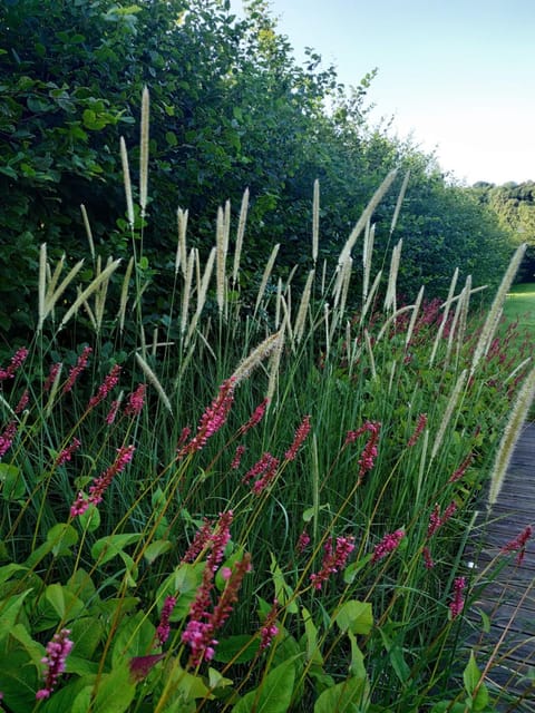 Seinebnb - Havre de paix à la campagne - Honfleur House in Normandy