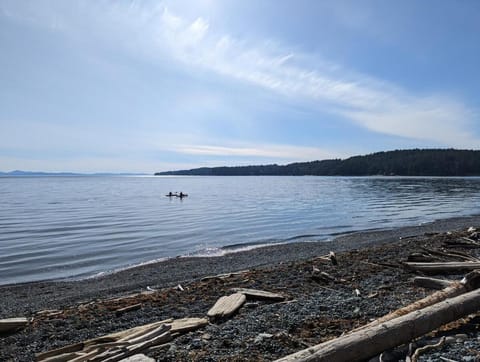Cozy Beachfront Cabin at Woodside Farm Cabin in Vancouver Island