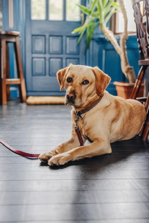 Inn at Port nan Gael Hotel in Scotland