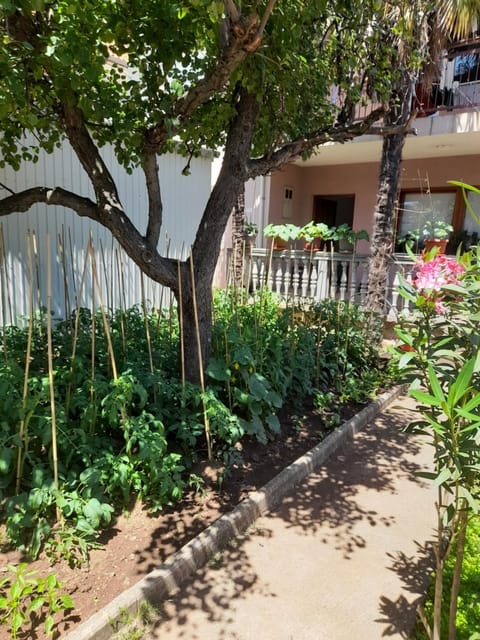 Apartman Avdić Bed and Breakfast in Mostar