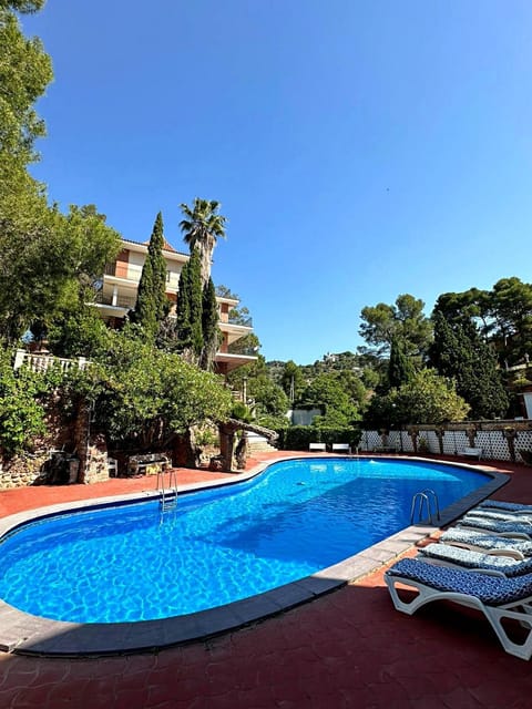 Day, Garden, Garden view, Pool view, Swimming pool, sunbed