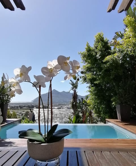 Patio, Pool view, Swimming pool
