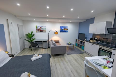Bed, TV and multimedia, Kitchen or kitchenette, Living room, Photo of the whole room, Seating area, Dining area, Bedroom, oven, stove