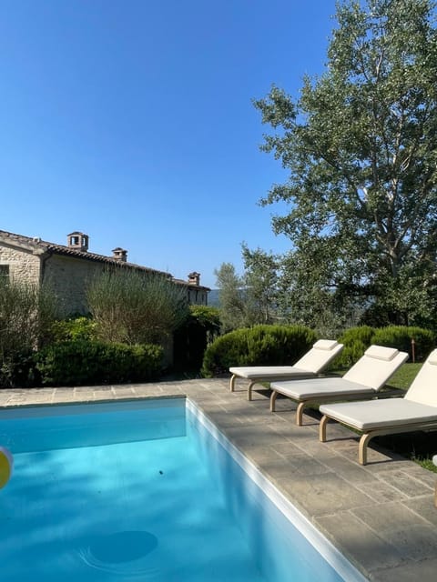 Day, Garden, Garden view, Pool view, Swimming pool, sunbed