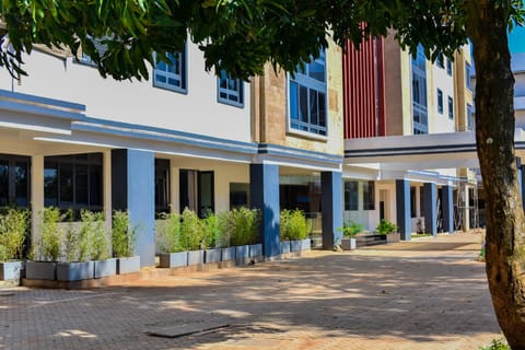 Property building, Day