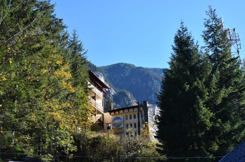 Property building, Natural landscape
