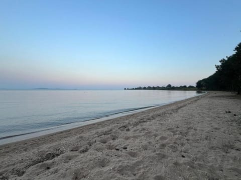 Beach, Beach