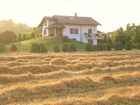 Day, Summer, Garden, Garden