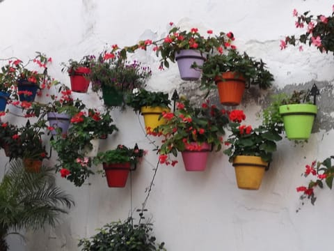 Intermobiliaria Rentals - Puerto Alto B4 13 Apartment in Estepona