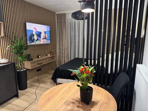 Bed, TV and multimedia, Living room, Seating area