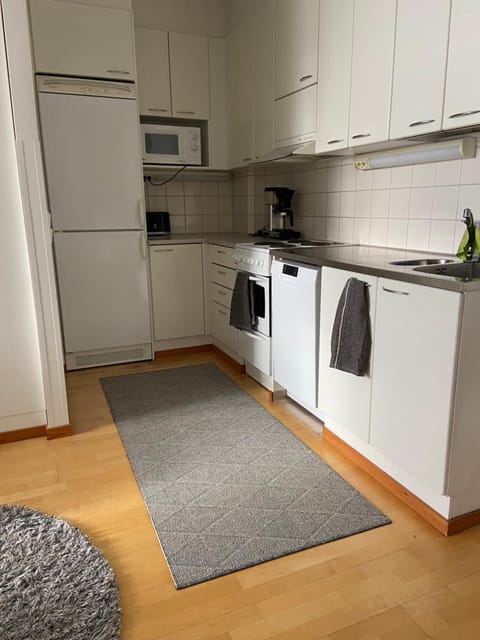 Kodikas huoneisto Rovaniemen keskustassa Apartment in Rovaniemi