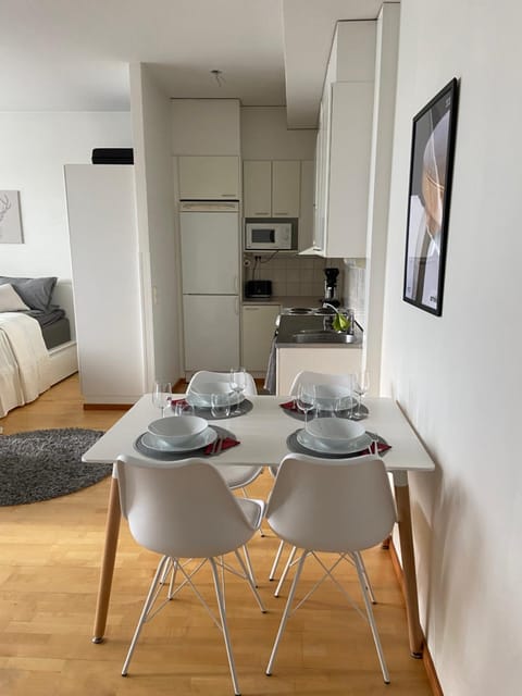 Kodikas huoneisto Rovaniemen keskustassa Apartment in Rovaniemi