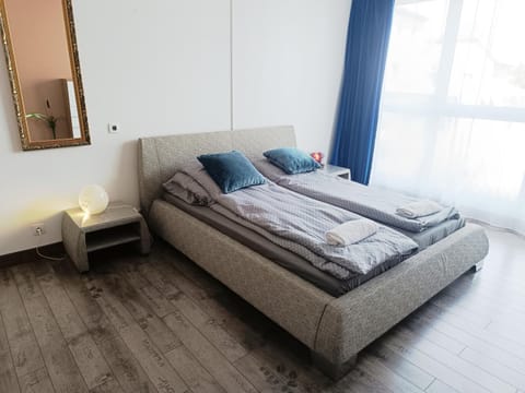 Grand Appartement 3 frontières Apartment in Saint-Louis