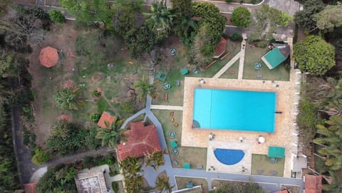 Day, Natural landscape, Bird's eye view, Pool view, Swimming pool, sunbed
