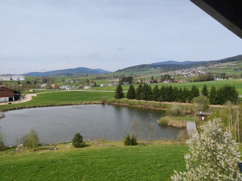 Spring, Fishing, Beach, Lake view