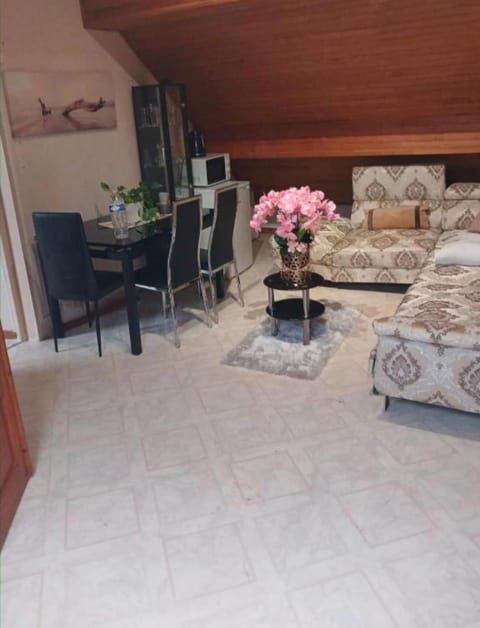 Maison 10 pièces Spa jacuzzi Paris Airport CDG jardin arboré clos House in Île-de-France