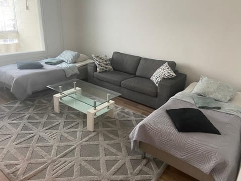 Tesoman Westeri Apartment in Finland