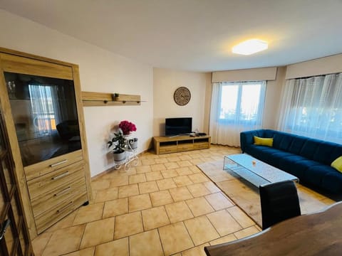 Joli apartement Apartment in Canton of Geneva