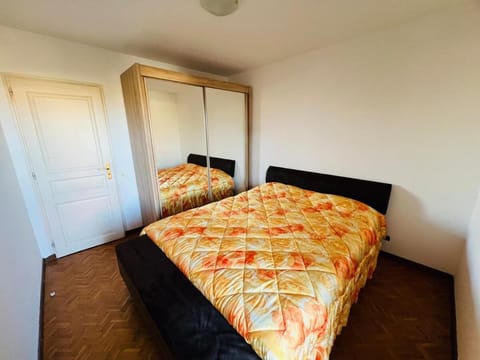 Joli apartement Apartment in Canton of Geneva