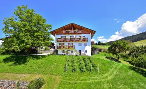 Property building, Spring, Day, Garden view