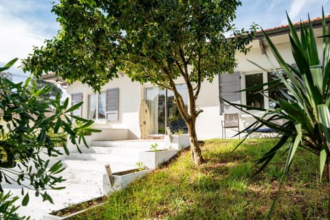 Property building, Patio, Natural landscape, Garden, Garden view