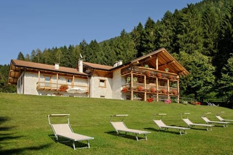 Property building, Day, Natural landscape, Garden, Garden view, sunbed