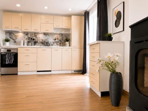 Kitchen or kitchenette, dishwasher, oven, stove
