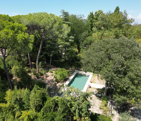 Natural landscape, Garden, Garden view, Pool view, Swimming pool