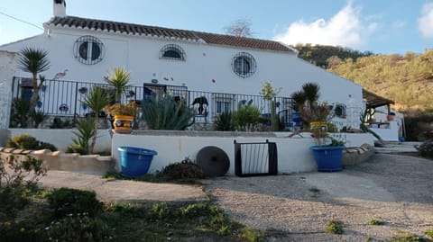 Property building, Day, Garden, Garden view