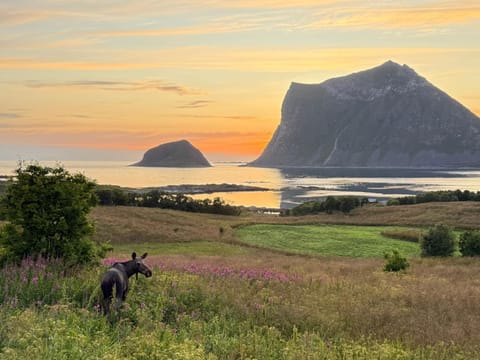 Nearby landmark, Natural landscape, Sea view, Sunset
