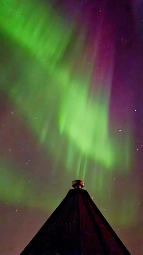 Haukland Panorama Lofoten House in Lofoten