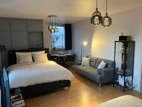 Bed, Living room, Photo of the whole room, Bedroom