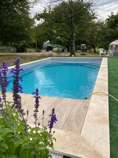 Garden, Garden view, Swimming pool, Swimming pool