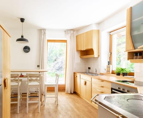 Kitchen or kitchenette, Dining area, oven, stove