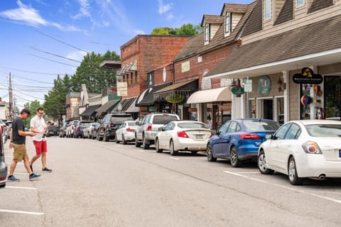 NEW King Bed,Suite,Downtown BR Southern Charm Boxcar Apartment in Blue Ridge