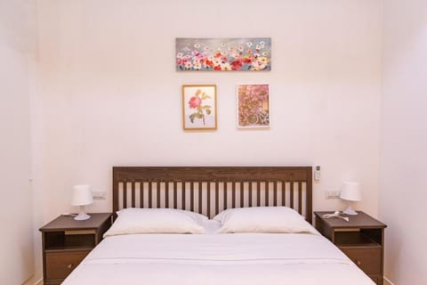 Charming & Modern Apartment near Santo Spirito Apartment in Florence