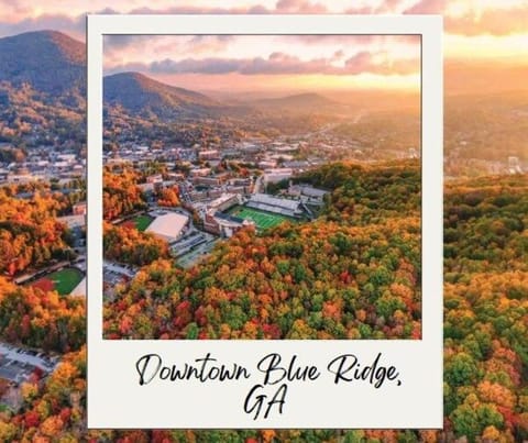 Charming Downtown Suite with Modern Comforts - Depot Apartment in Blue Ridge