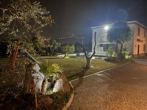Night, Garden, Garden view
