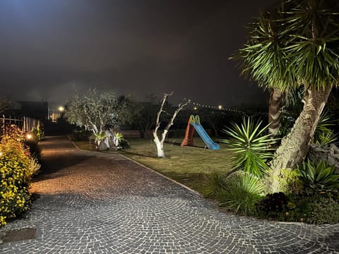 Night, Natural landscape, Garden, Garden view