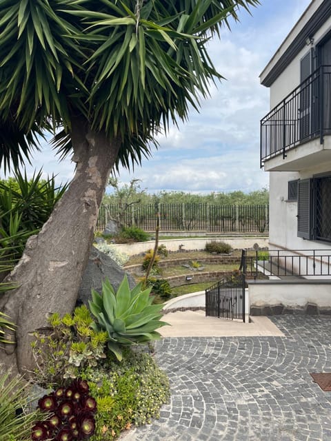 Property building, Patio, Spring, Day, Natural landscape, View (from property/room)