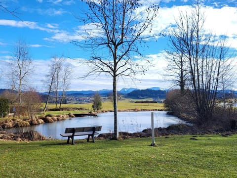 Spring, Lake view, Mountain view