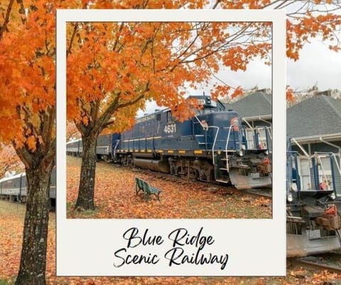 Penthouse Suite Right in the Heart of Downtown - Trackside Apartment in Blue Ridge