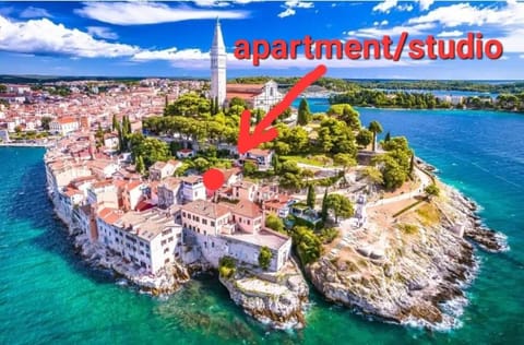 Sea View House Apartment in Rovinj