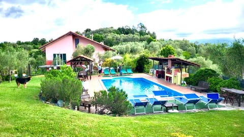 Property building, BBQ facilities, Garden, Swimming pool, pet friendly, sunbed
