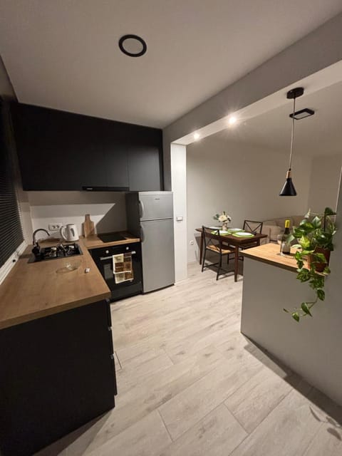 Kitchen or kitchenette, Dining area, dishwasher, oven, stove