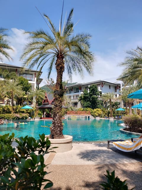 Garden, Swimming pool