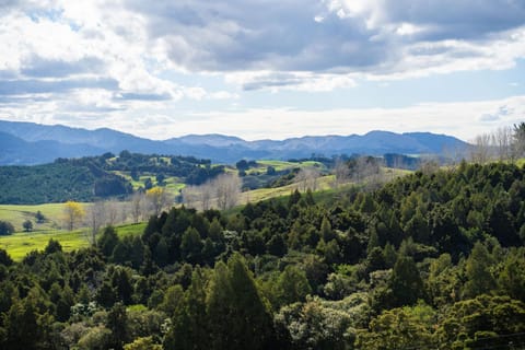 Titoki Downs Farm Stay Farm Stay in Auckland Region