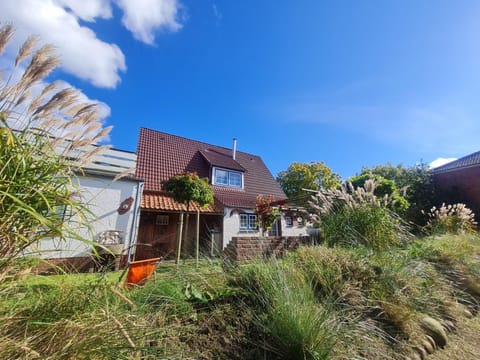 Property building, Garden, Garden view