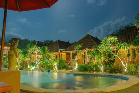 Night, Garden, Garden view, Pool view, Swimming pool, sunbed